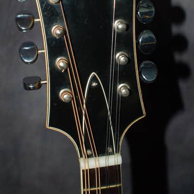 1972 Sunburst Harmony Batwing Mandolin Pro Setup Gigbag image 7