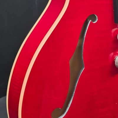 Gibson ES-335 Dot 2005 image 5
