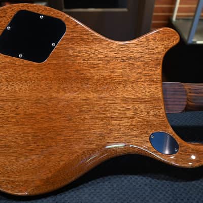 PRS Wood Library McCarty 594 Semi-Hollow Danville Music 35th Anniversary Artist Top 2024 - Gold Storm Fade #2871 image 8