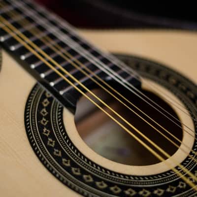 Pedro Santos 8-String Mandolin | Brazil 2024 image 3