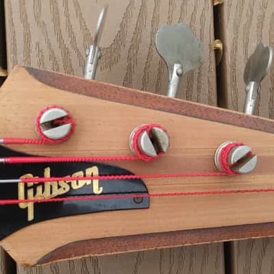 Immagine Gibson Thunderbird IV 1964 - Natural - 14