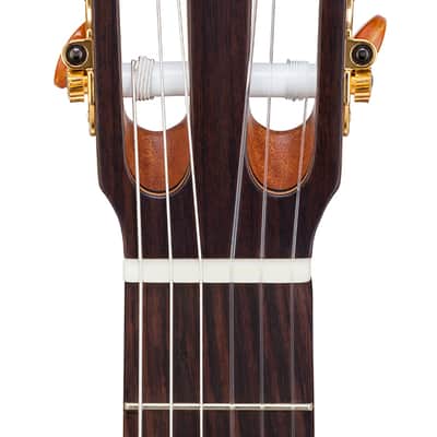 Kremona Sofia SC-T - All Solid, Cedar top, West African sapele back/sides - Kremona Hardshell Case image 5