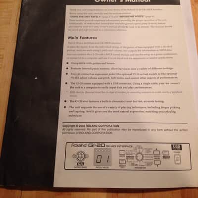 Roland GI-20 Silver image 4