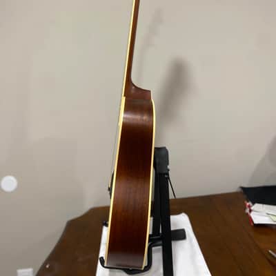 Taylor DN-3 2010 - Natural image 5