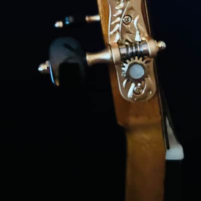 Yulong Guo Ziricote Concert 2016 #14 image 11