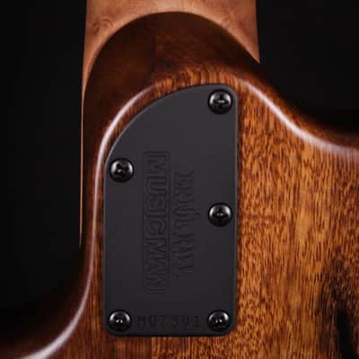 Ernie Ball Music Man Limited Edition 30th Anniversary Luke 4 Steamroller 2023 (H07501) image 8