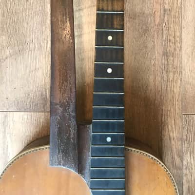 Harp Guitar Antique RARE Harp Guitar 1920s Brown image 2