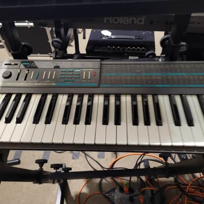 Korg Poly-800 1980s - Local Pickup Only
