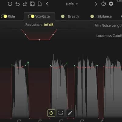 NoiseWorks DynAssist (Download) <br> image 3