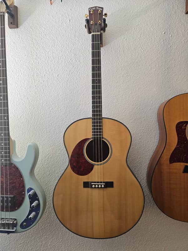 Gold Tone TG-18 Tenor 2010s - Left Handed image 1