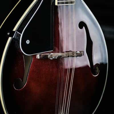 2010s Has Guitar Model PM7RDSL Mandolin Left Handed red sunburst image 5