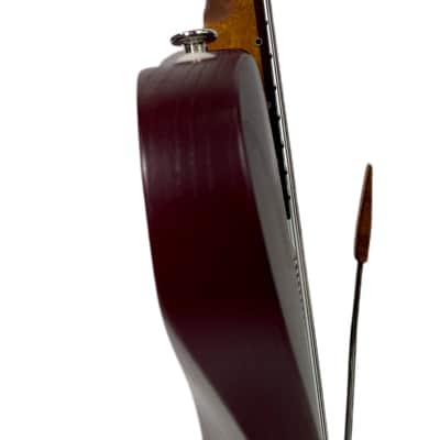 Tao Guitars T-Bucket Zaiko 2022 Wine Red / Tortoise NEW (Authorized Dealer) image 7