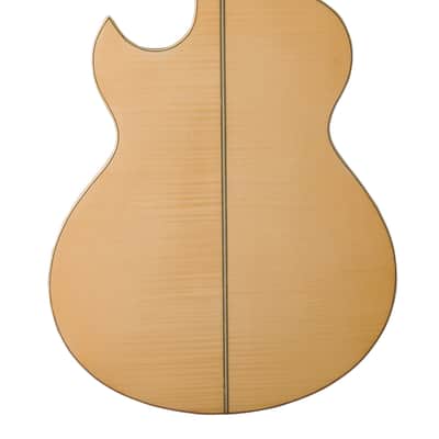 Washburn EA20 | Festival Series Florentine Cutaway with Electronics. New with Full Warranty! image 3