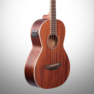 Ibanez PNB14E Performance Parlor Acoustic-Electric Bass Guitar, Open Pore Natural image 3