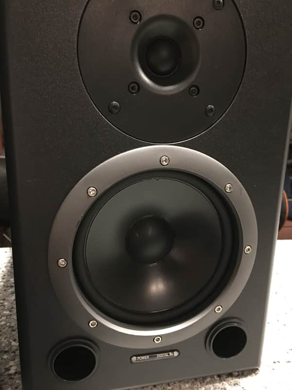 Roland DS-90A 24-Bit Bi-Amp Speakers Digital Powered Studio