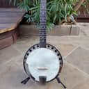 Deering B6 Boston 6 String Banjo
