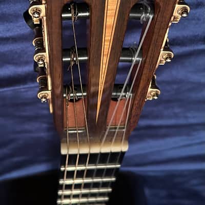 Yulong Guo Ziricote Concert 2016 #14 image 10