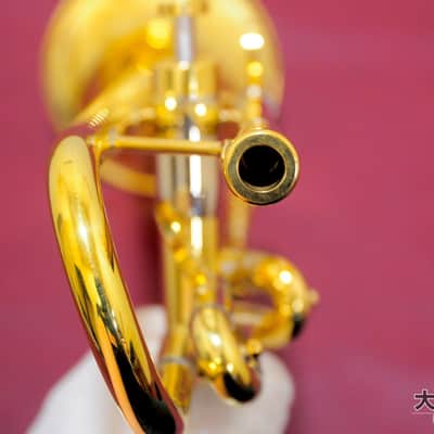 Brasspire Unicorn BPTR-900HNL (Brand New) B♭ Trumpet image 3