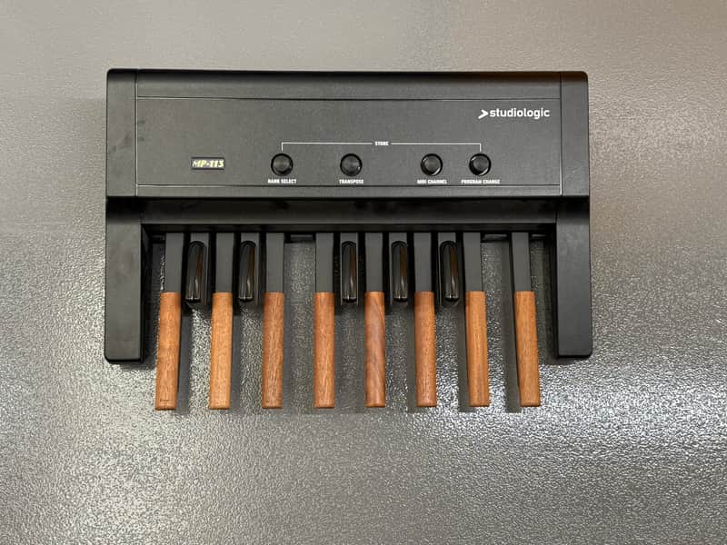 Studiologic MP-113 MIDI Foot Pedal 2018 - 2020 - Black image 1