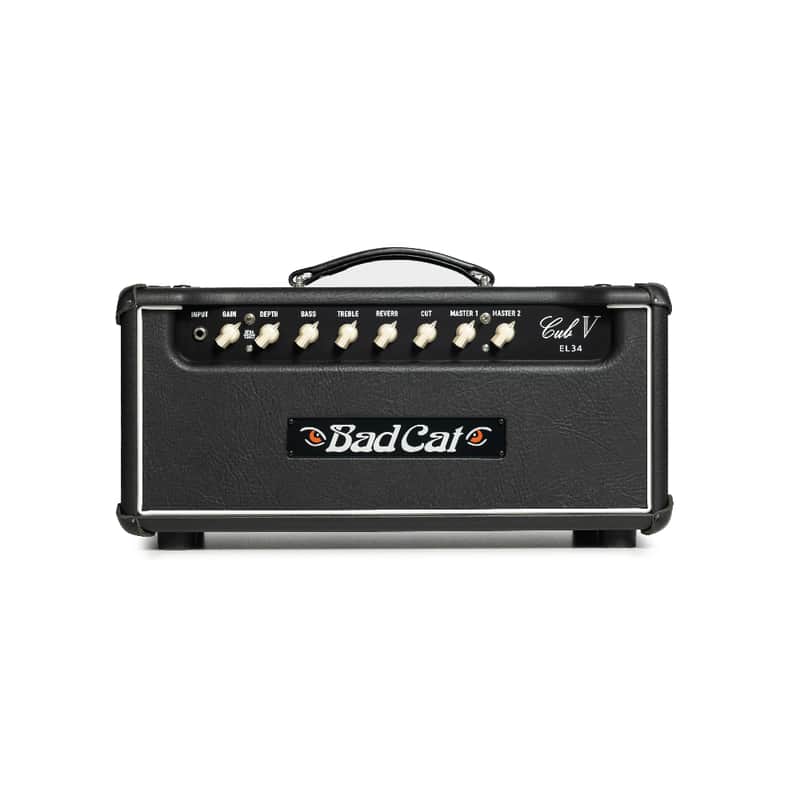 Bad Cat Cub V EL34 40-Watt Guitar Amp Head image 1