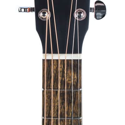 Eastman PCH1 OM image 2