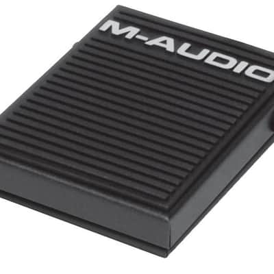 SP-1 M AUDIO image 2