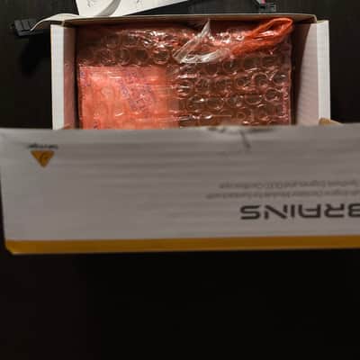 Behringer Brains 2022 - Present - Black image 4