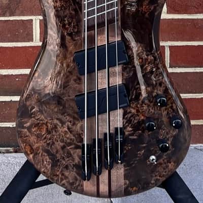 Spector NS Dimension 4, 4-String, Super Faded Black, Fishman Fluence Pickups & Preamp, Gig Bag image 2