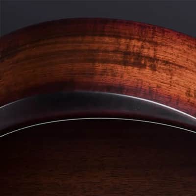 Taylor Next Generation Builder's Edition 914ce, Sinker Redwood Top, Honduran Rosewood Back & Sides Expression System 2 Electronics with Case,2026 image 19