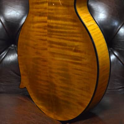 Weber Yellowstone F14-F Mandolin image 3