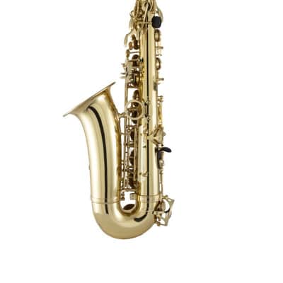 Prelude by Selmer PAS111 Student Alto Saxophone Outfit (FIREWORKS26) image 2