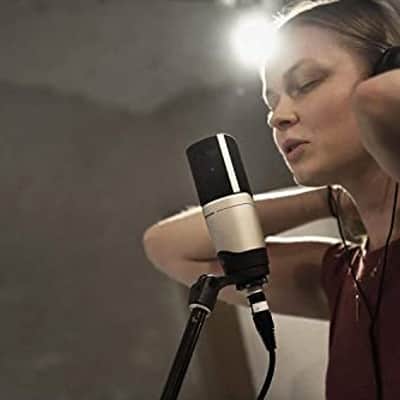 Mint Sennheiser MK 4 Large Diaphragm Condenser Microphone image 4