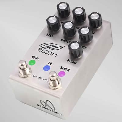 Bloom Midi Stainless Steel Jackson Audio image 3