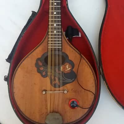 GOLDKLANG (Ger) 12 string electric concert mandolin - 30s / 50s + Hardcase image 14
