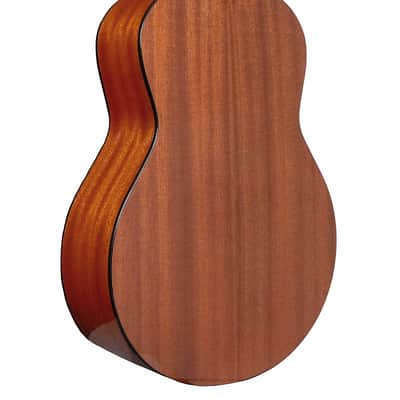 Gold Tone TG-10/L Spruce Top Mahogany Neck 4-String Acoustic Tenor Guitar with Gig Bag For Left Handed Players image 2