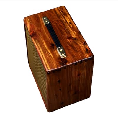 Unique Ashen "Pinto" 12" Custom Handmade Guitar Cabinet Enclosure (empty) image 3