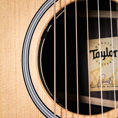 Taylor Next Generation 414ce w/ Sitka Spruce Top & Indian Rosewood Back and Sides Acoustic-Electric Guitar 2025 (1211215073) image 6