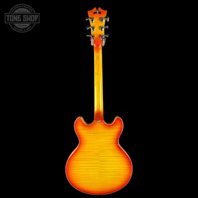 Used D'Angelico Premier DC Semi-Hollow Stoptail Dark Iced Tea Burst w/bag TSU24806 image 6