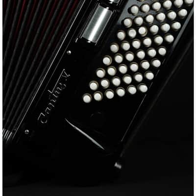 Weltmeister Cantus V 120 Bass Cassotto 5 chörig overhauled used image 3