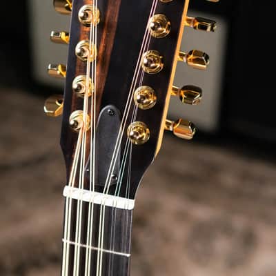 Taylor 260ce-K DLX Doce Doble Acoustic/Electric Guitar with Hardshell Case - Factory Demo image 5