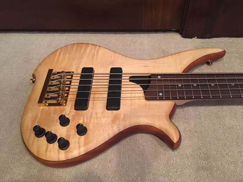 Tune TWB 5 string bass guitar | Reverb