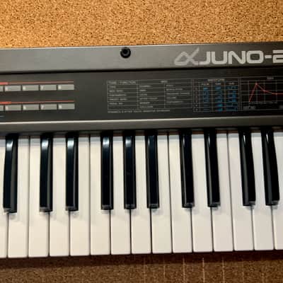 Roland Alpha Juno-2 61-Key Programmable Polyphonic Synthesizer – Serviced – Warranty image 6