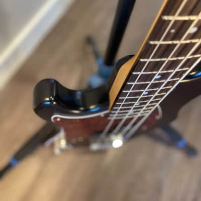 Sandberg California II VS4 2023 - Brown burst image 4