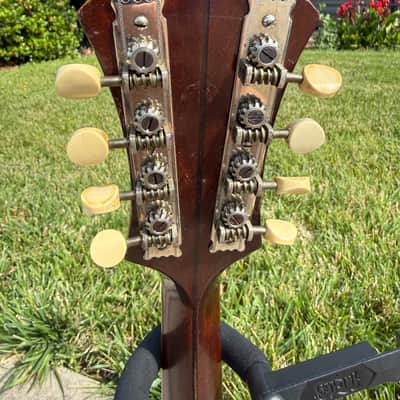 1921 Bacon Professional Mandolin - Rare! image 6