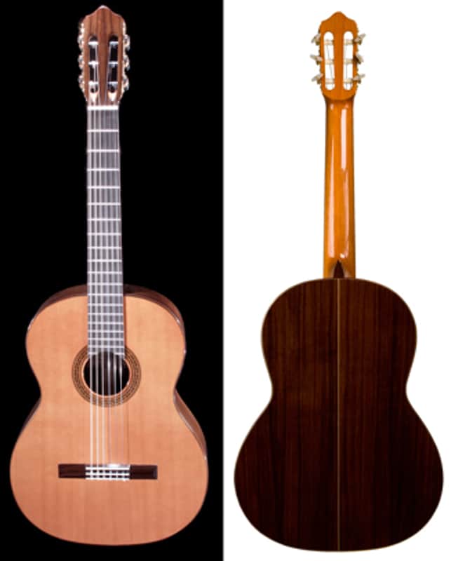 New World Estudio Model 650mm Guitar with Cedar Top and Padded Bag image 1