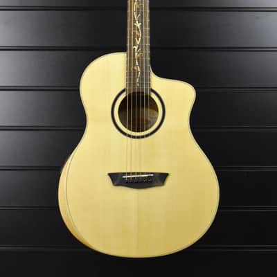 Washburn BTSC40-SCE image 1