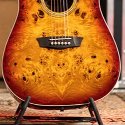 Washburn DFBDA | Deep Forest Burl D, Amber Fade. New with Full Warranty! image 5