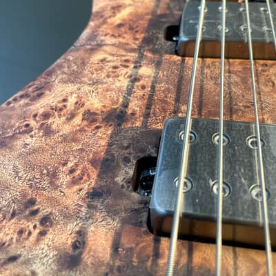 Ibanez QX527PB-ABS Quest Standard 7-String 2021 - Present - Antique Brown Stained image 5