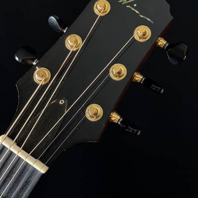 Kathy Wingert E Macassar Ebony image 11