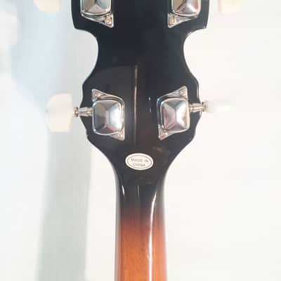 Danville 5-String Banjo-Model BJ30-30 Brackets-NEW-Shop Setup Included! image 7